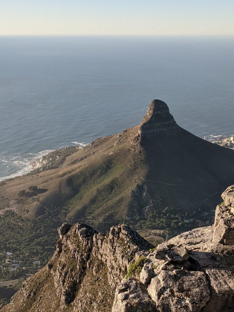 lions head