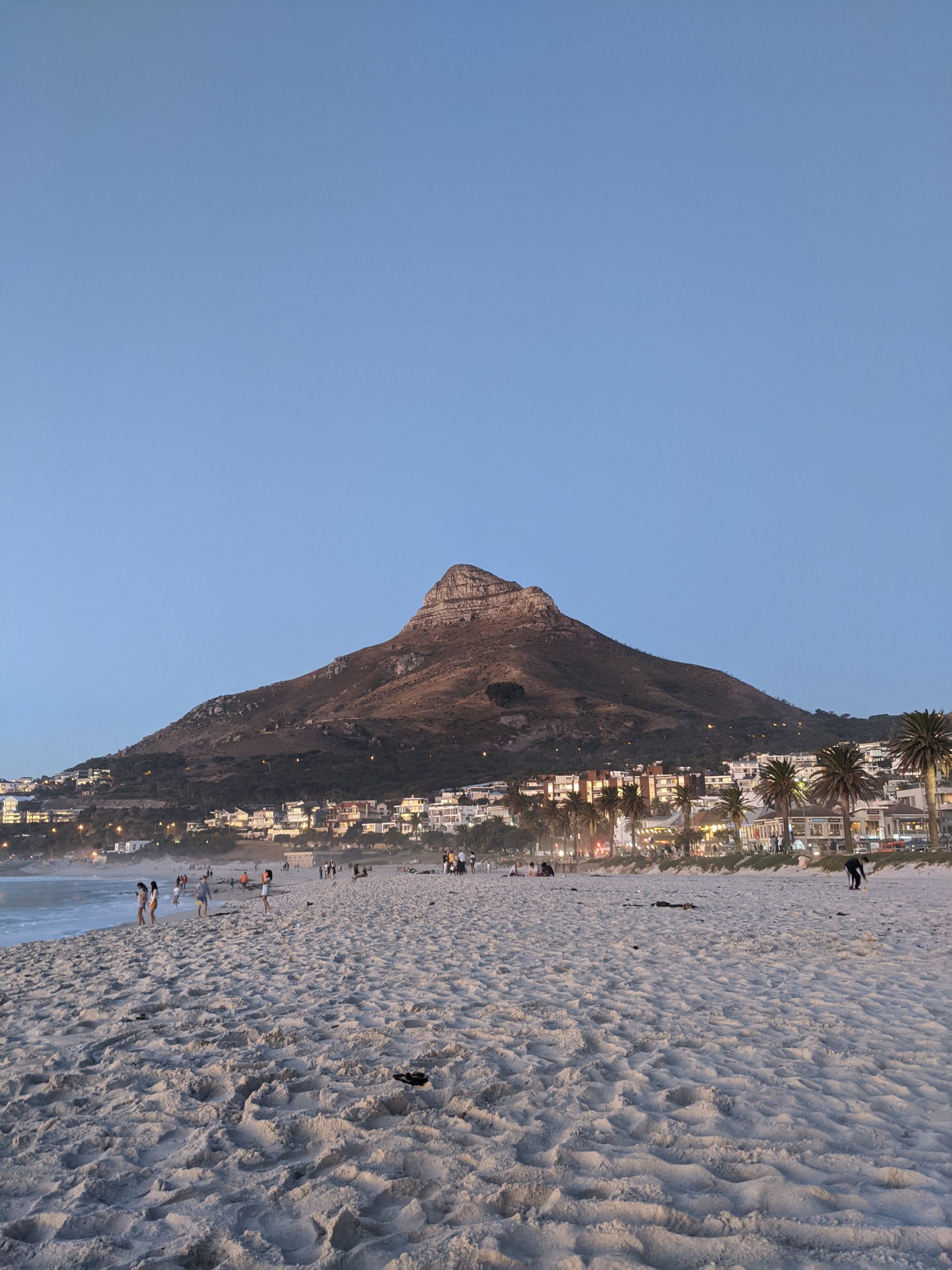 lions head